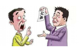 吴川为什么选择专业追讨公司来处理您的债务纠纷？